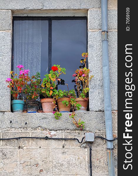 Old window with flower pot's