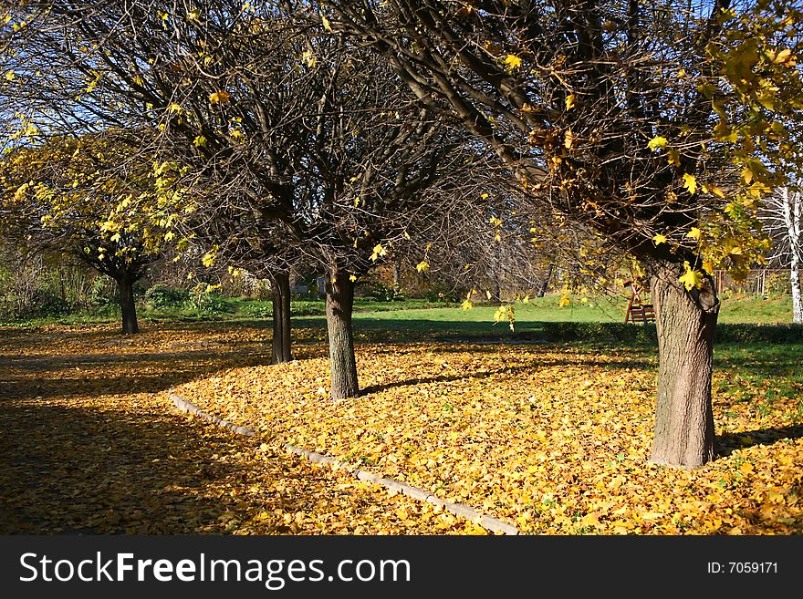 Autumn scenery in the park