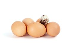 Some Chicken Eggs And One Quail Egg Royalty Free Stock Images