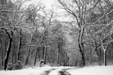 Snowy Road Royalty Free Stock Images Snowy Road Royalty Free Stock Images