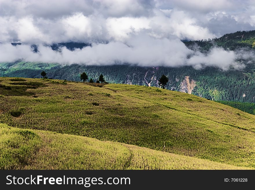 This is beautiful chinese rural scenery