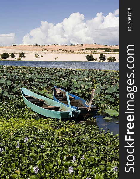 Two fisher boats on beautiful lake between green plants