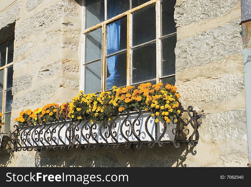 The windows of a frame house.