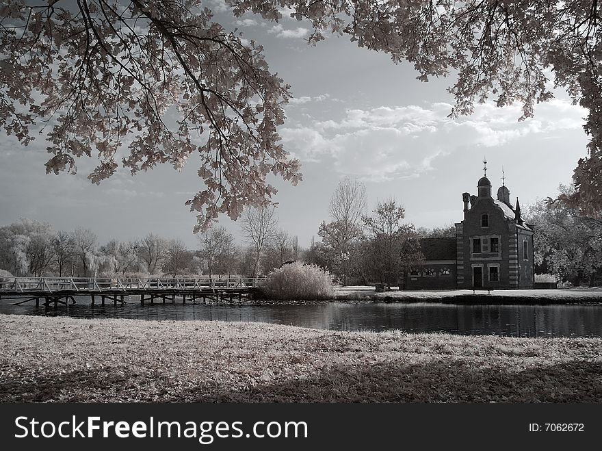 Duotone infrared lake and reflects - natural grainy picture