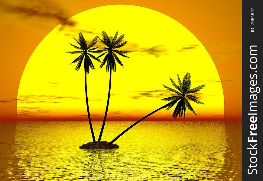 Red Sunset & Palm in sky background