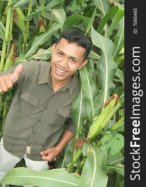Success Corn Farming
