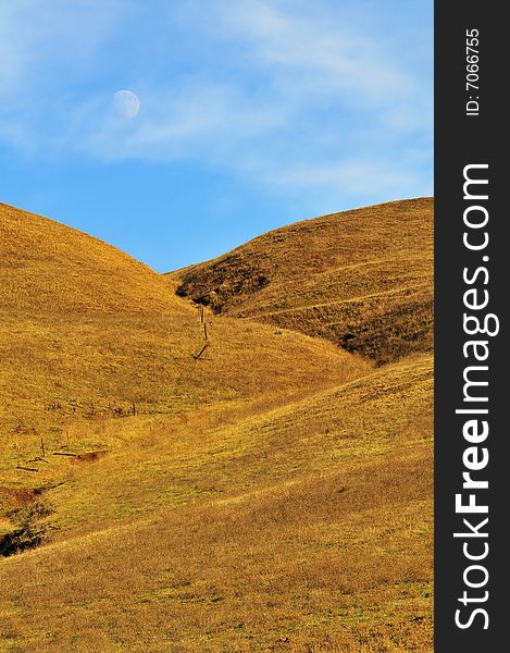 Golden grassy hill with moon in blue sky and clouds