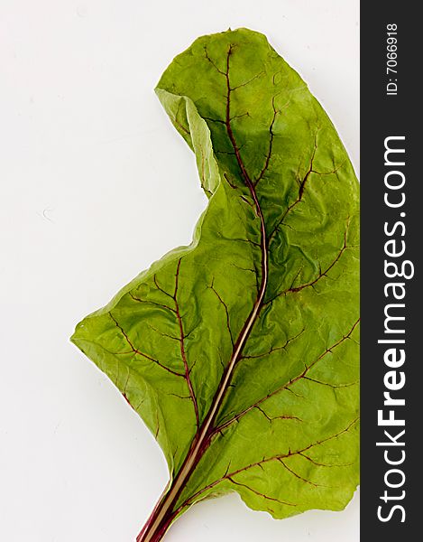 Leaf of beetroot isolated on white background