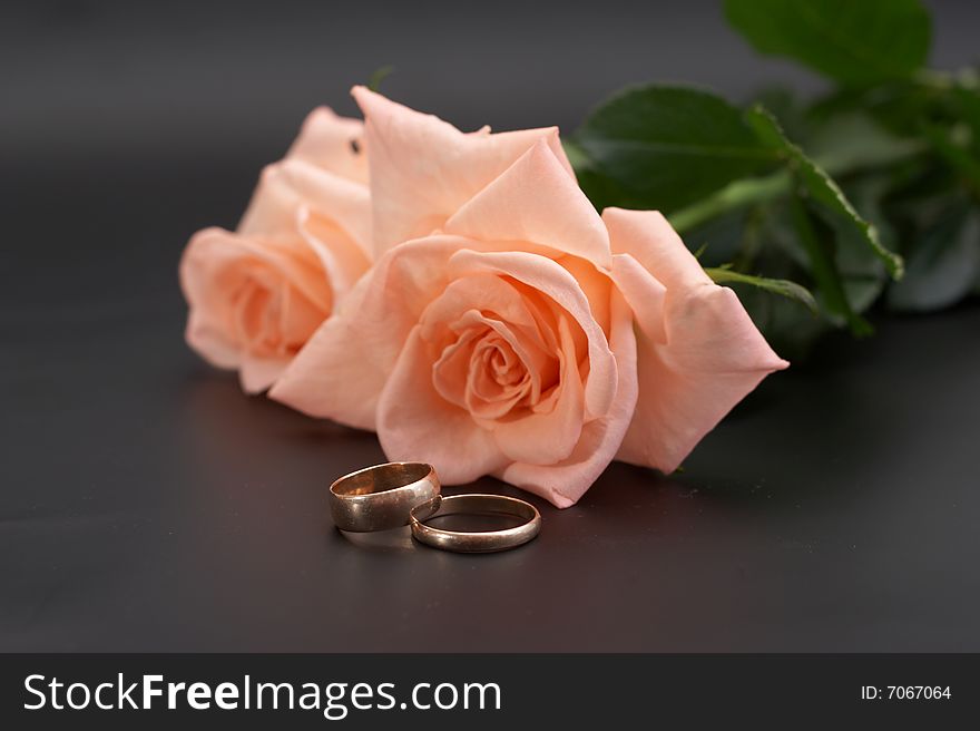 Rose and wedding rings on a black background