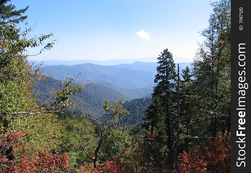 View of Smoky mountains as viewed through a frame of trees in foreground.  Can see numerous mountain ridges through V shaped frame.  See a lot of blue sky in background. View of Smoky mountains as viewed through a frame of trees in foreground.  Can see numerous mountain ridges through V shaped frame.  See a lot of blue sky in background.