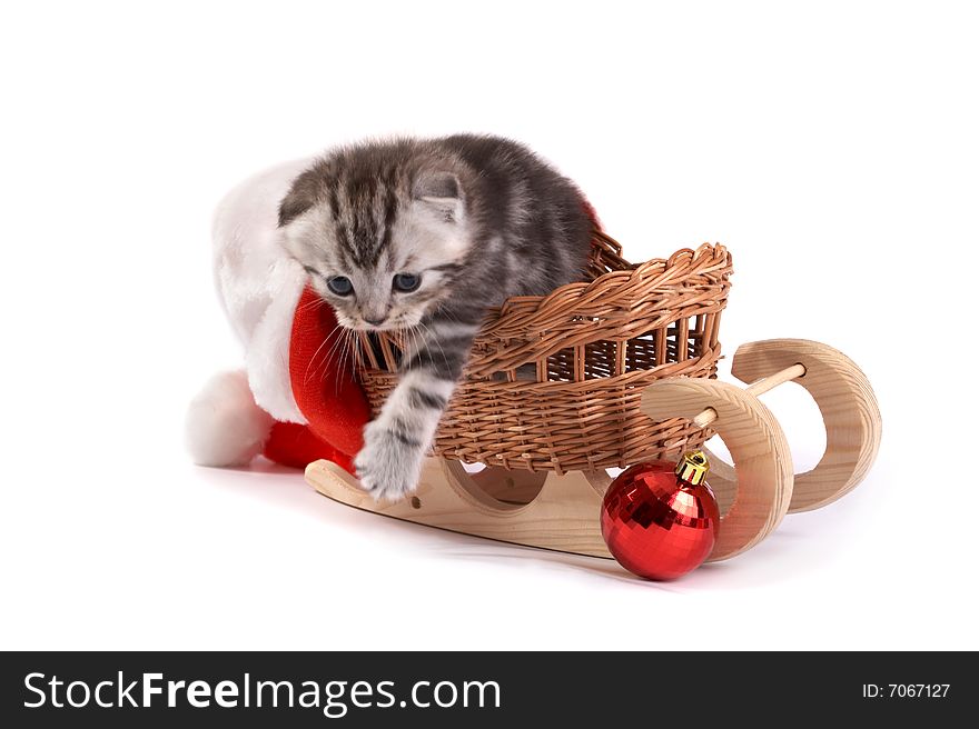 Kitten Plays On A White Background