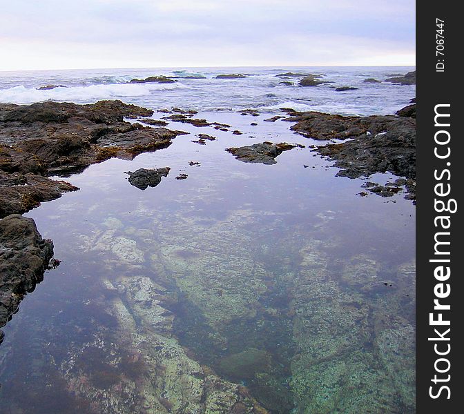 Tide Pools at Fort Bragg, California