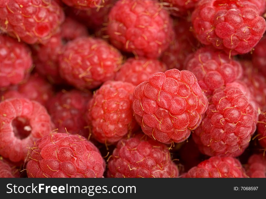 Macro of ripe fresh raspberries. Macro of ripe fresh raspberries