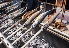 Mackerel Cooking On Hot Coals Royalty Free Stock Photo