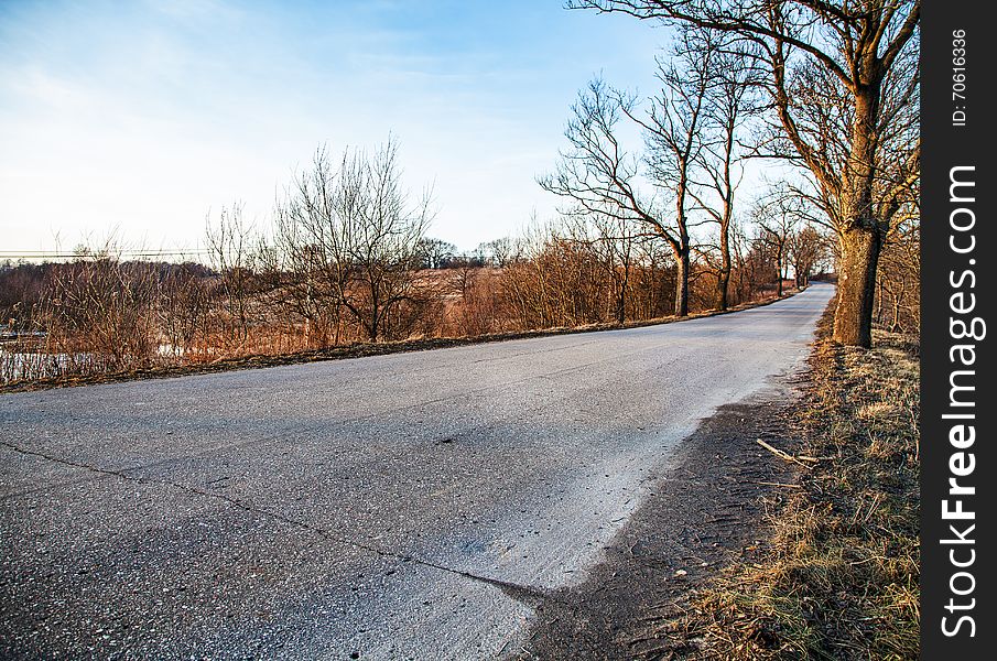 Road stretches into the distance in the autumn