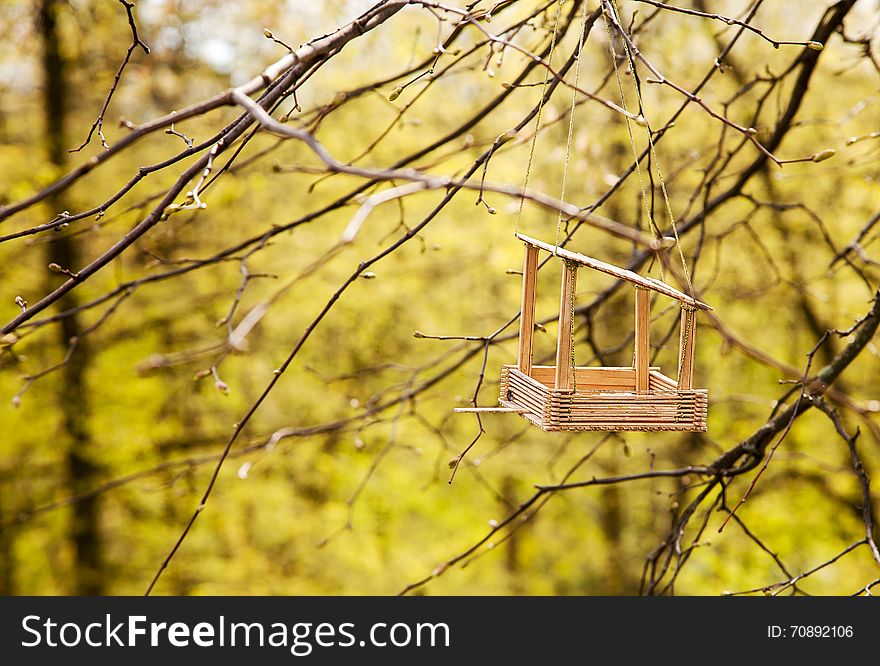 Feeding Trough For Birds On A Tree