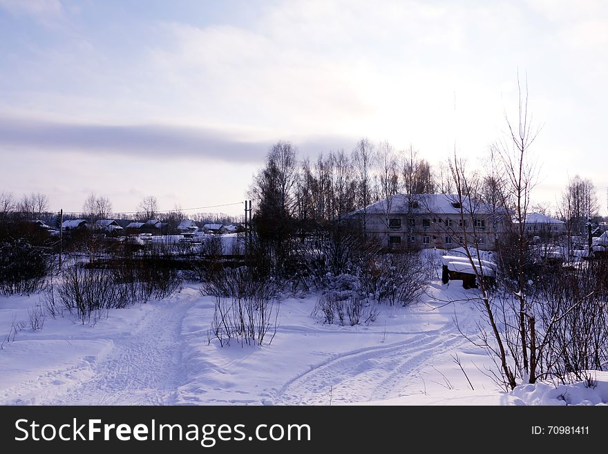 Village In A Winter Day