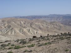 Rolling Hills In Jordan Stock Photo Rolling Hills In Jordan Stock Photo