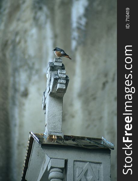 Bird on the cross in Ukrainian mountains. Bird on the cross in Ukrainian mountains