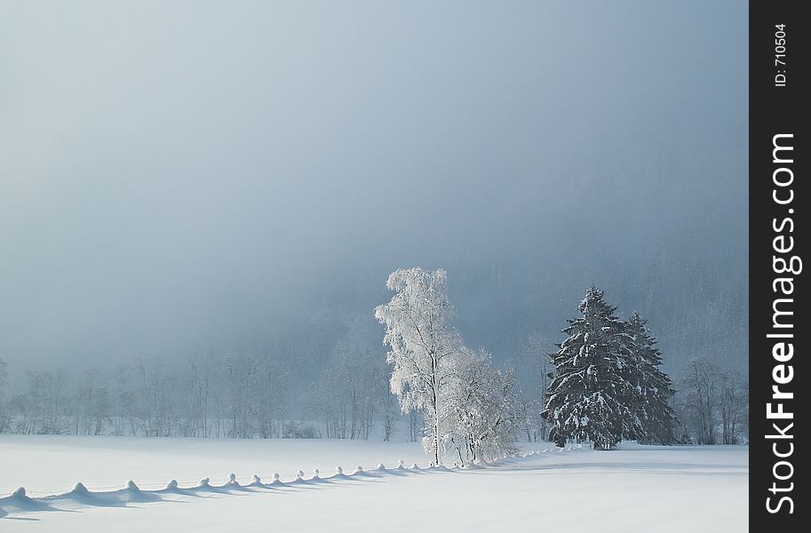 Winter In Bavarian Alps
