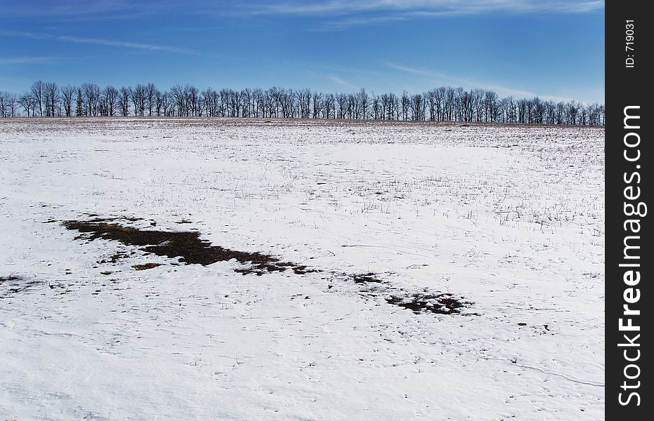 Winter field against blue sky. Winter field against blue sky