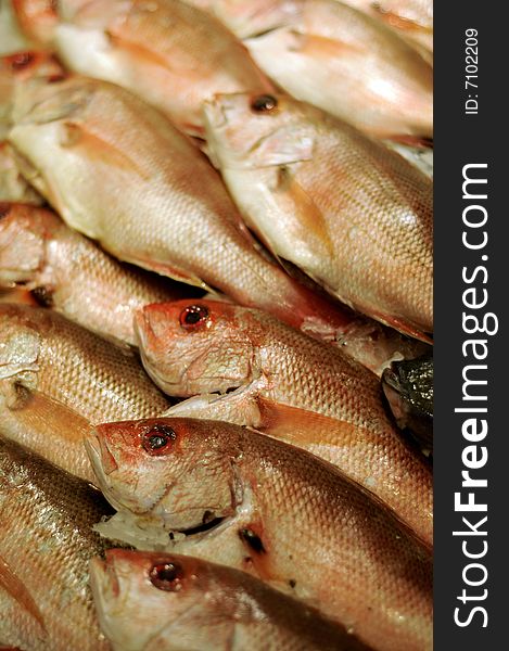 Stock of freshly caught fish for sale at a fish market. Stock of freshly caught fish for sale at a fish market