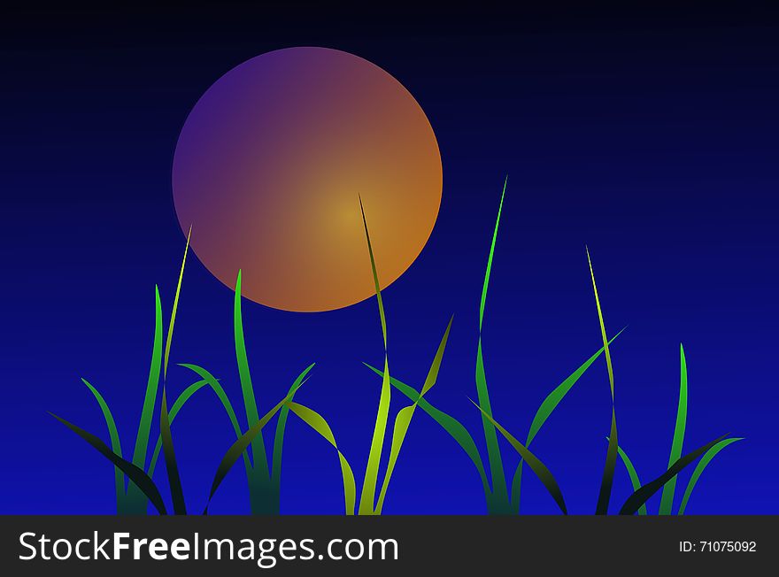 Night Grass On Background Of The Moon