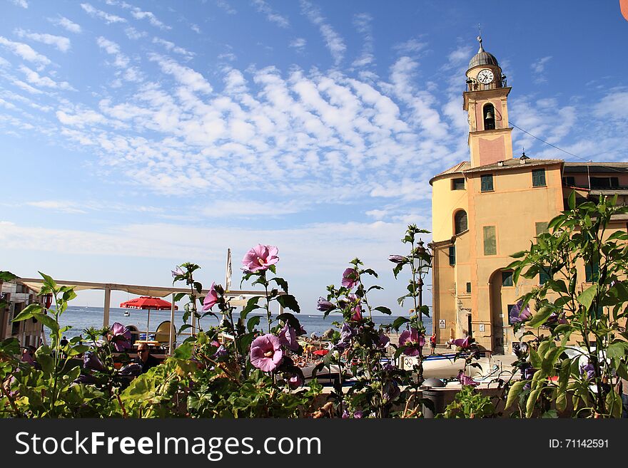 The camogli church and flowers that emphasize the beauty of this village overlooking the Ligurian Sea