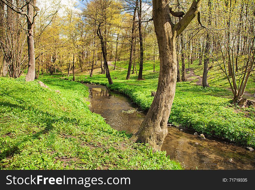 Flowing stream in city park