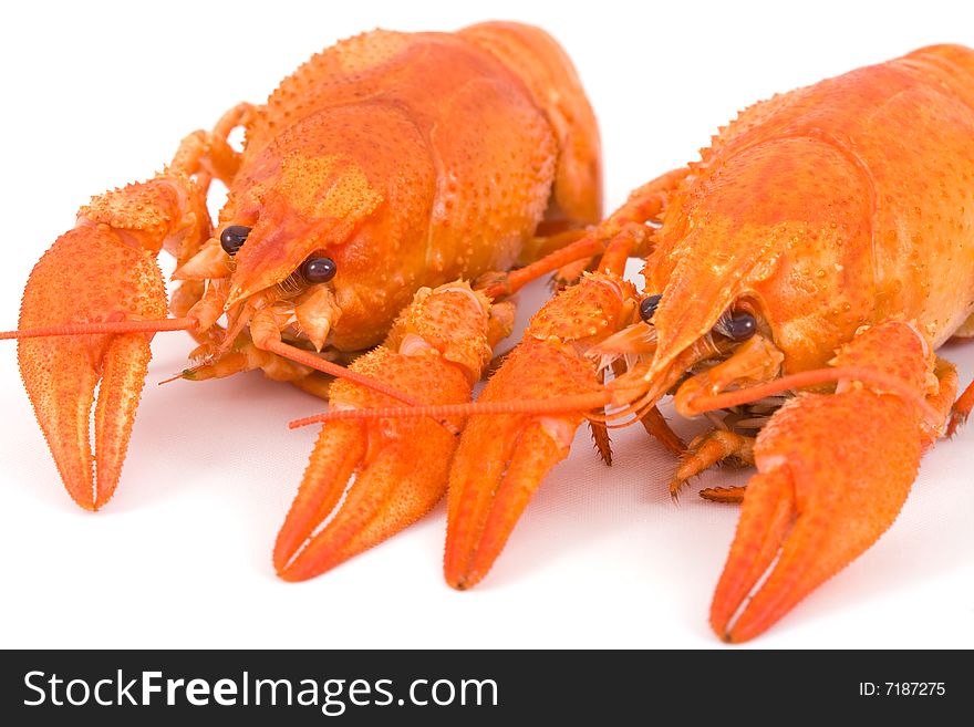 Boiled crayfish isolated on white background