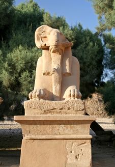 Sphinx Stock Images