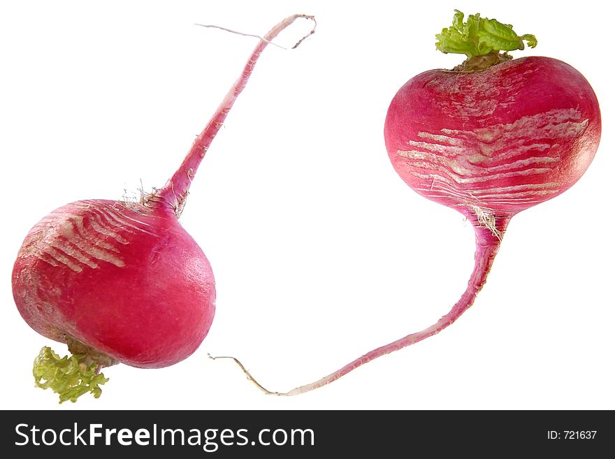 Enamoured radish-comic spring metaphor