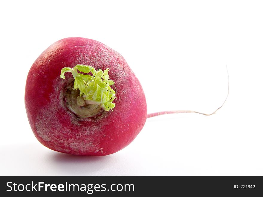 Ripe spring garden radish