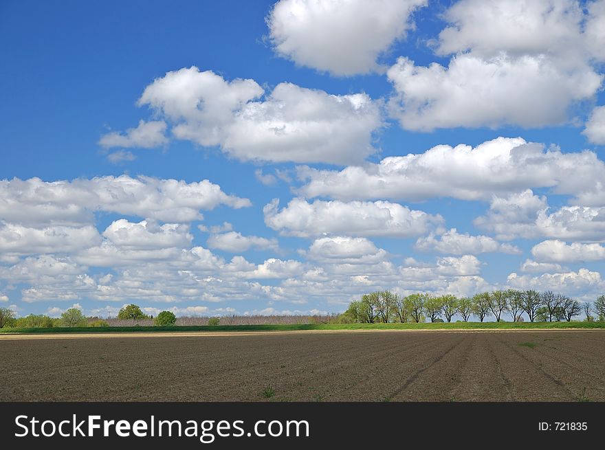 Agricultural field in springtime. Agricultural field in springtime