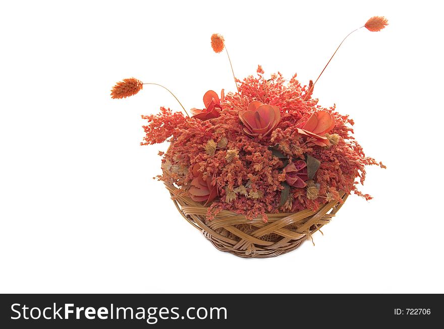 Red plants in basket isolated on white