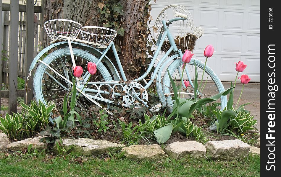 Vintage bike used as flower planter