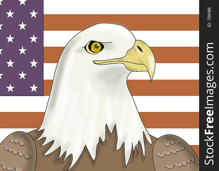 American bald eagle. American bald eagle