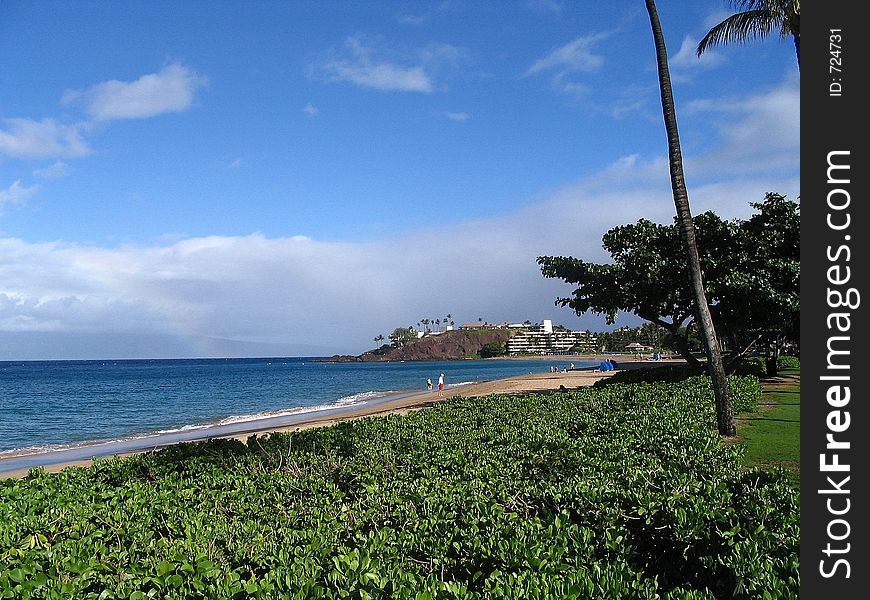 Scene of Kaanapali Beach in Maui, Hawaii