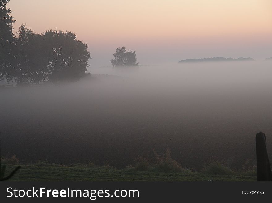 Fog on a field. Fog on a field