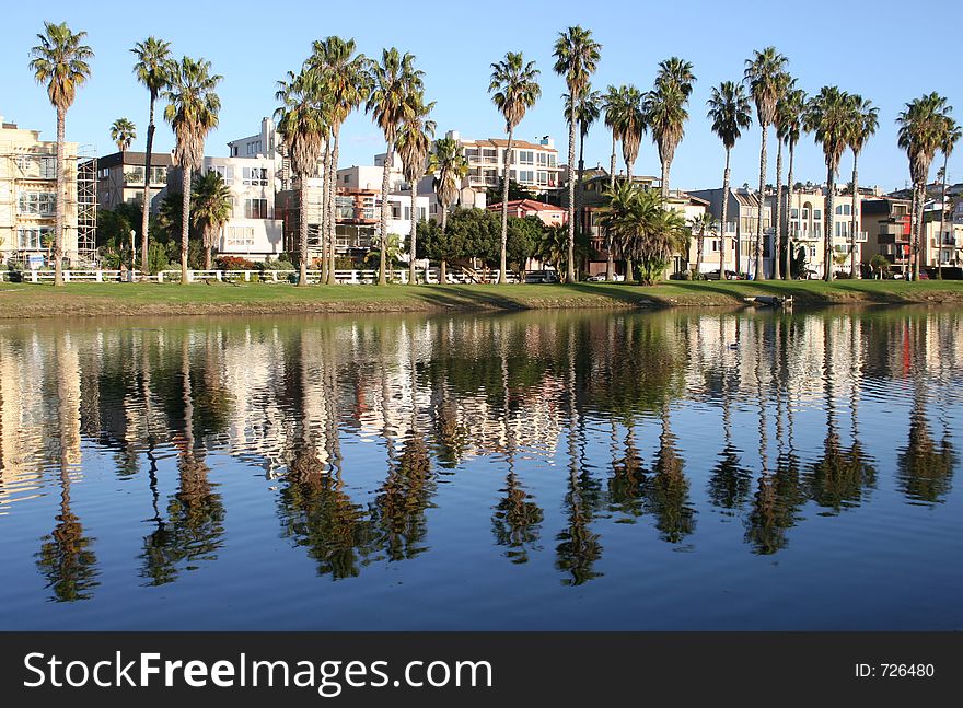 Palm trees reflected in the lagoon at Playa Del Rey, Ca. Palm trees reflected in the lagoon at Playa Del Rey, Ca.