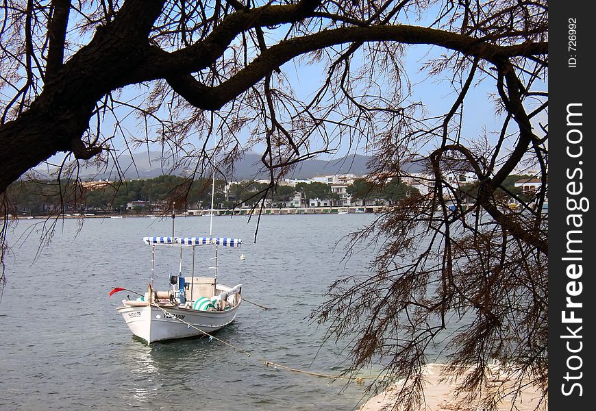 Boat tied in the Porto Colom (Majorca) dock under a treee. Boat tied in the Porto Colom (Majorca) dock under a treee