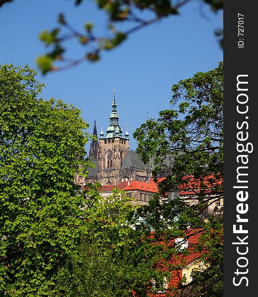 Prague castle - spring view from Charles Bridge (a blossoming chestnut trees throughview).