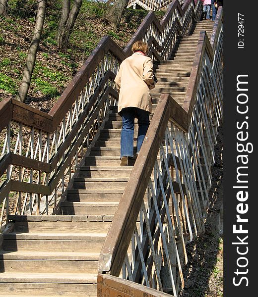 Wooden stairs in a park