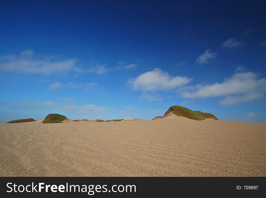 Sand Dune On The Beach