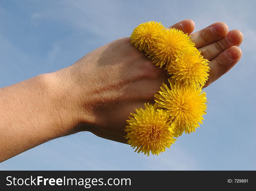 Hand With Flowers