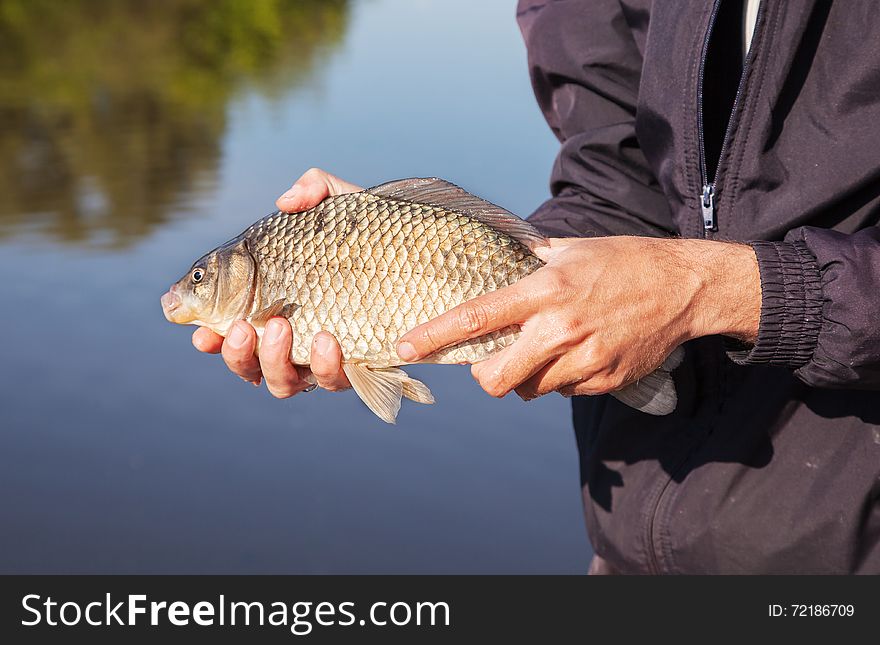 Fisherman Holding Carp