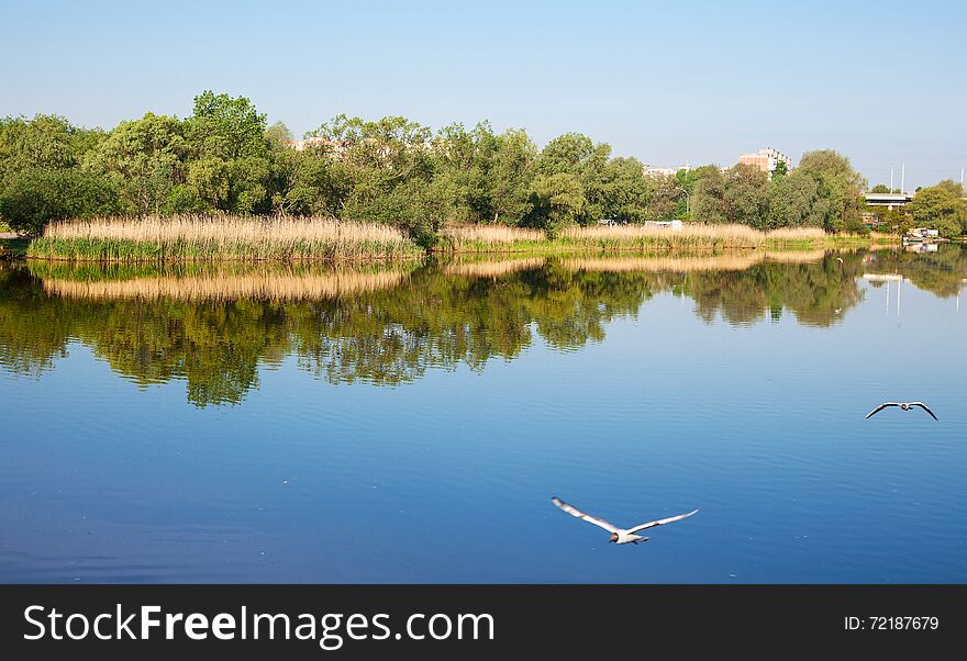 River landscape on sunny summer day. River landscape on sunny summer day