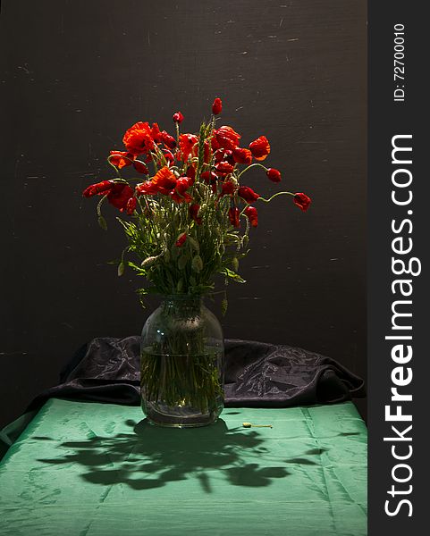 Poppy flowers on black background