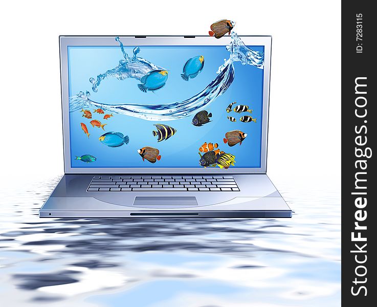 Lap Top And Fishes