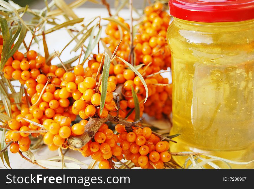 Sea buckthorn fruits on branch and sweet honey. Sea buckthorn fruits on branch and sweet honey